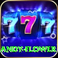 andy flower Games (Casino & Earning) Plus v3.4.6