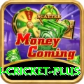 australian cricket Royal - Daily Bonus