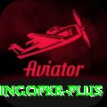 bingopkr VIP Pro v5.9.7