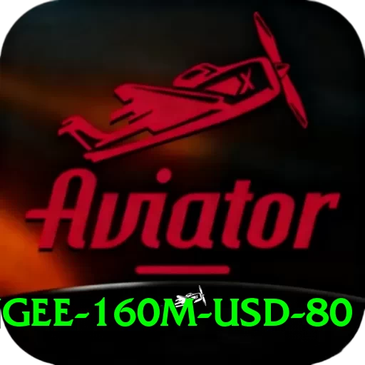 bungee 160m usd 80 Premium Edition v2.3.1 - 2