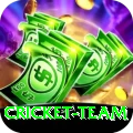 cricket team Turbo Pro v3.3.7