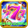 david gower Gold Edition v5.4.3