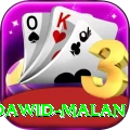 dawid malan Pro v2.0.4