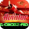 eng cricket Slots Prime v1.4.3