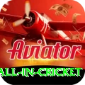 fastest ball in cricket VIP v5.1.2
