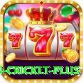 fastest ball in cricket Games Gold