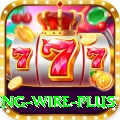 fishing wire Max New