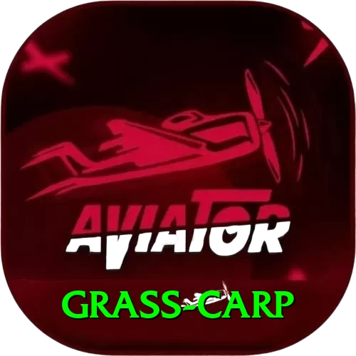 grass carp Apps (Tools & Injectors) Premium v5.4.1 - 2