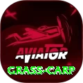 grass carp Apps (Tools & Injectors) Premium v5.4.1