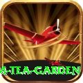 hile ilam tea garden Pro v1.0.2