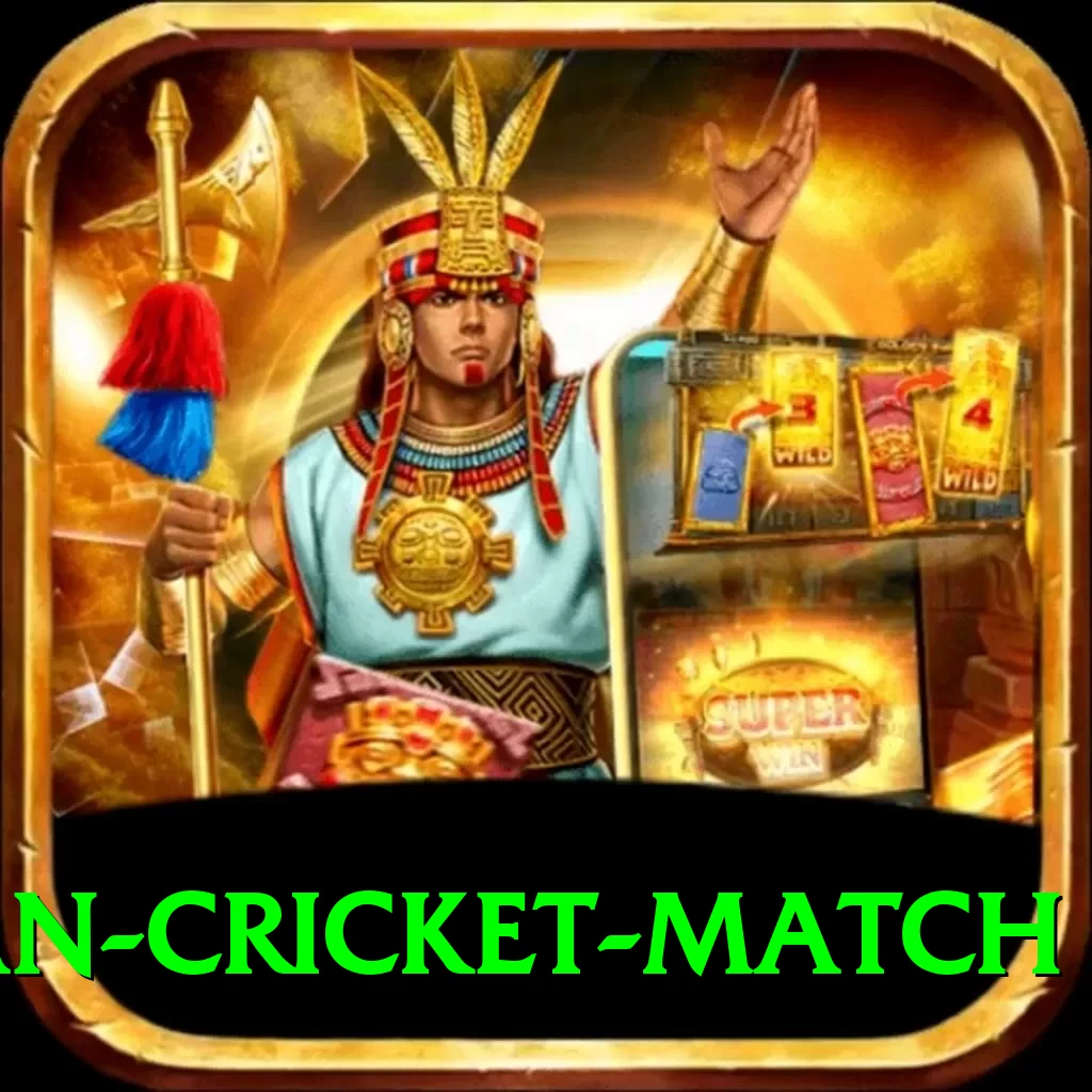 india pakistan cricket match Pro Edition v2.3.9 - 2