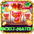 international cricket match Deluxe v5.8.7