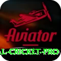 international cricket - Slots Ultimate