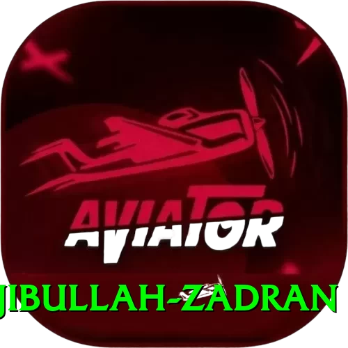 najibullah zadran Pro1 v2.7.5 - 2