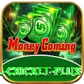 nepal cricket - Slots Extreme