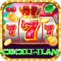new zealand cricket team Gold v3.7.7