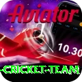 pakistan women cricket team Apps (Tools & Injectors) Pro v5.2.3