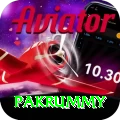 pakrummy Pro1 v3.2.7