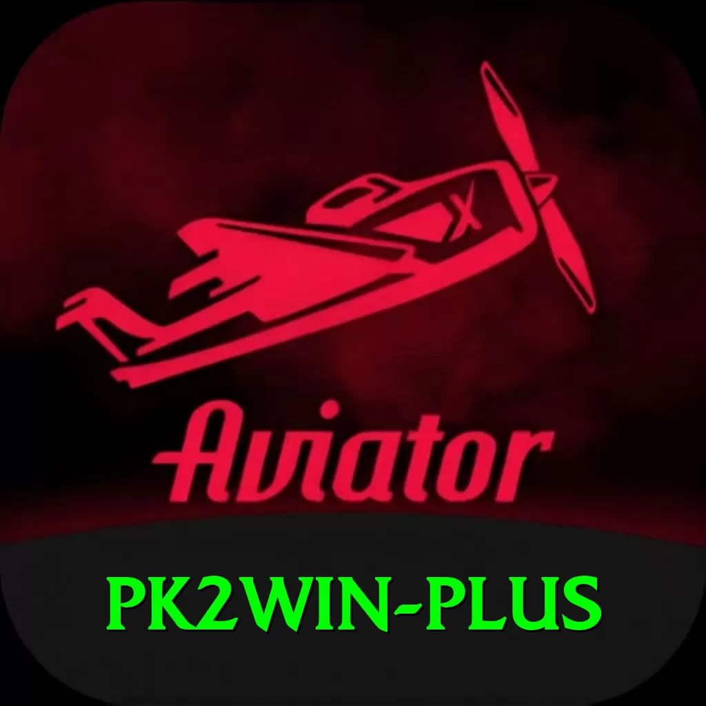 pk2win Premium Plus v2.8.3 - 2
