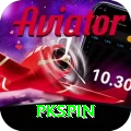 pkspin Deluxe Edition v1.9.9