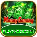 play cricket Gold v1.8.0