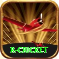 r cricket Games (Casino & Earning) Deluxe v3.8.8