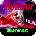 sehwag Apps (Tools & Injectors) Premium v1.3.4