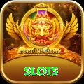 slots Pro v5.4.2
