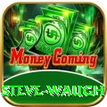 steve waugh Max v2.4.5