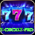 test cricket Turbo v1.6.6