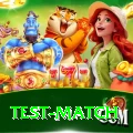 test match Apps (Tools & Injectors) Pro v2.2.6
