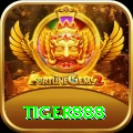 tiger888 Master Pro vv3.5.2